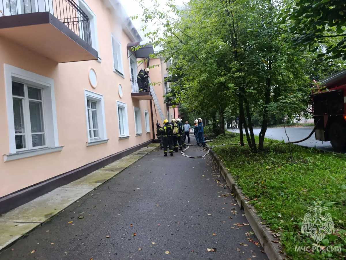 Причины пожаров устанавливают органы дознания. Причины пожаров устанавливают органы дознания.