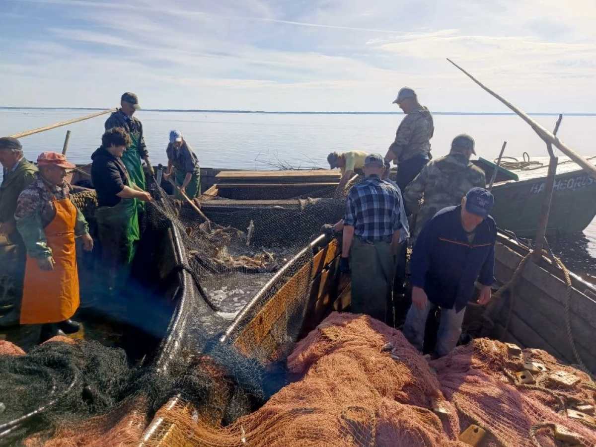 Осенью рыбаки наращивают объём вылова, а рыбоводные хозяйства выводят на рынок первые партии рыбы, выращенной в течение лета.