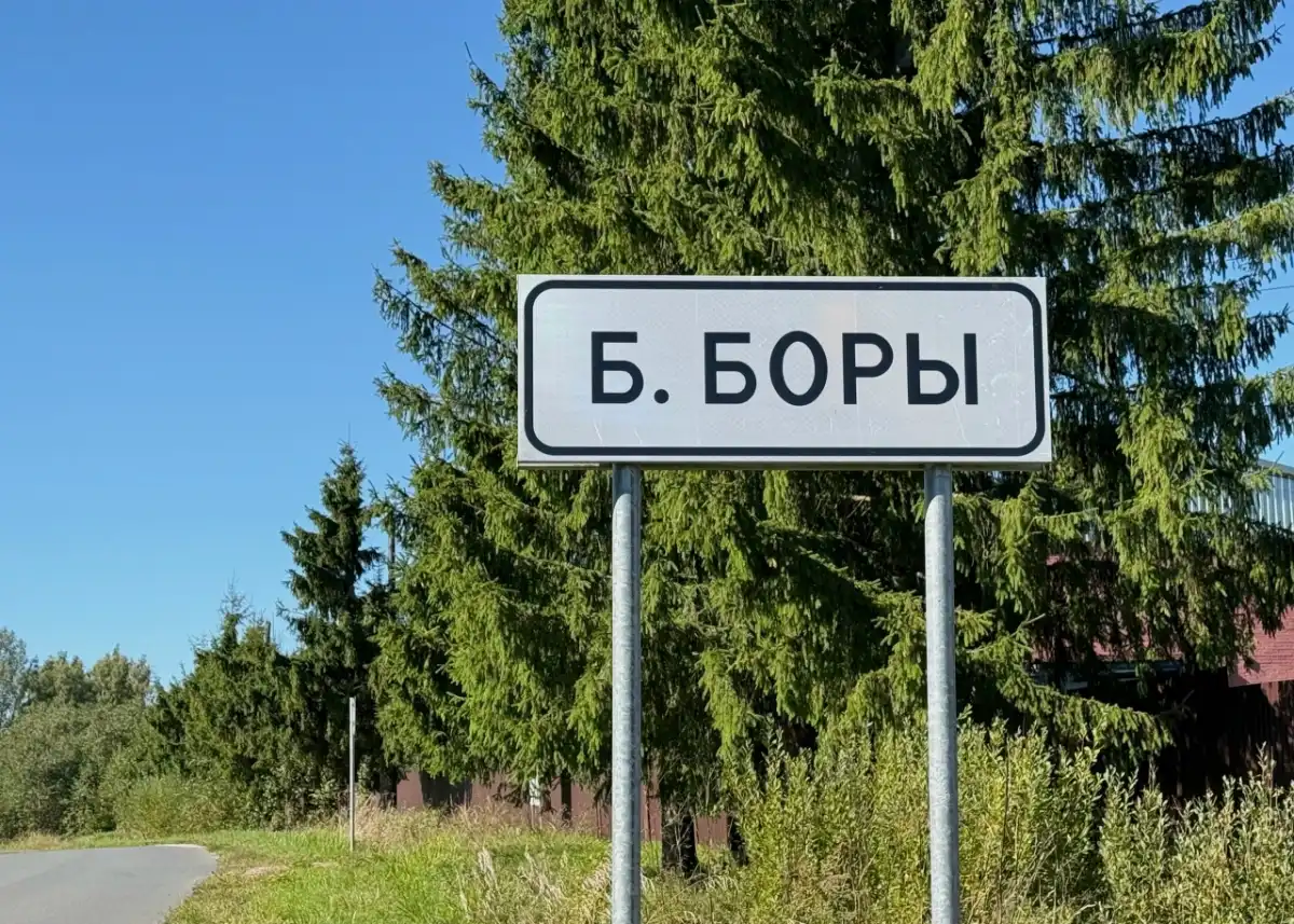 Деревни Большие Боры и Ивановское попали в адресный план проекта «Устранение цифрового неравенства» по итогам голосования на портале госуслуг в 2025 году.