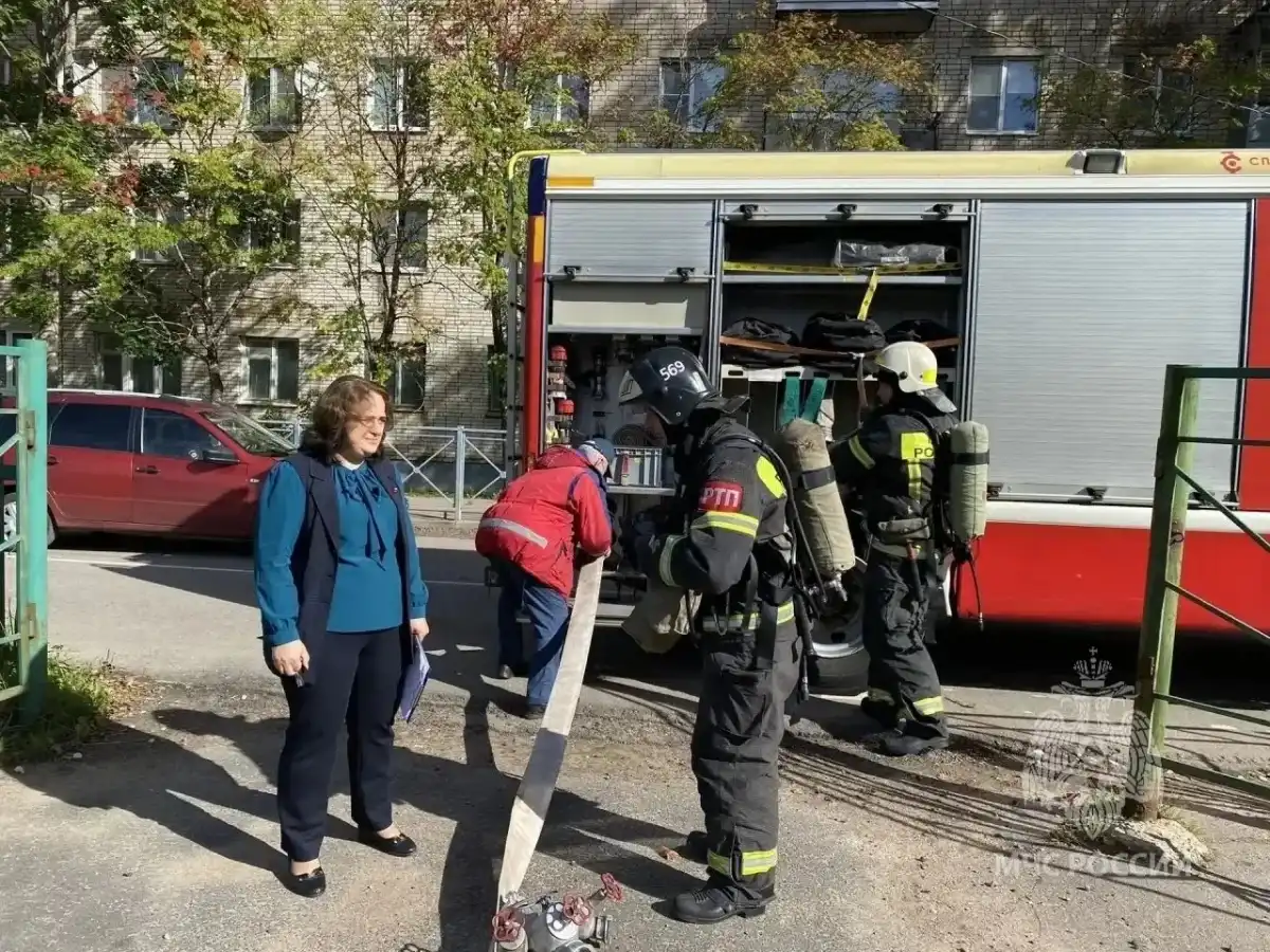 Причины пожаров устанавливают органы дознания.