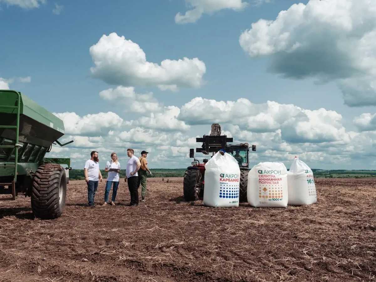 Удобрения от «Акрона» обеспечили агрохолдингу «Плодородие-Саратов» урожайность 74 ц/га