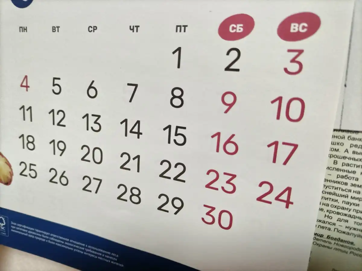 Новогодние каникулы продлятся 11 дней – с 31 декабря 2026 года по 10 января 2027 года.