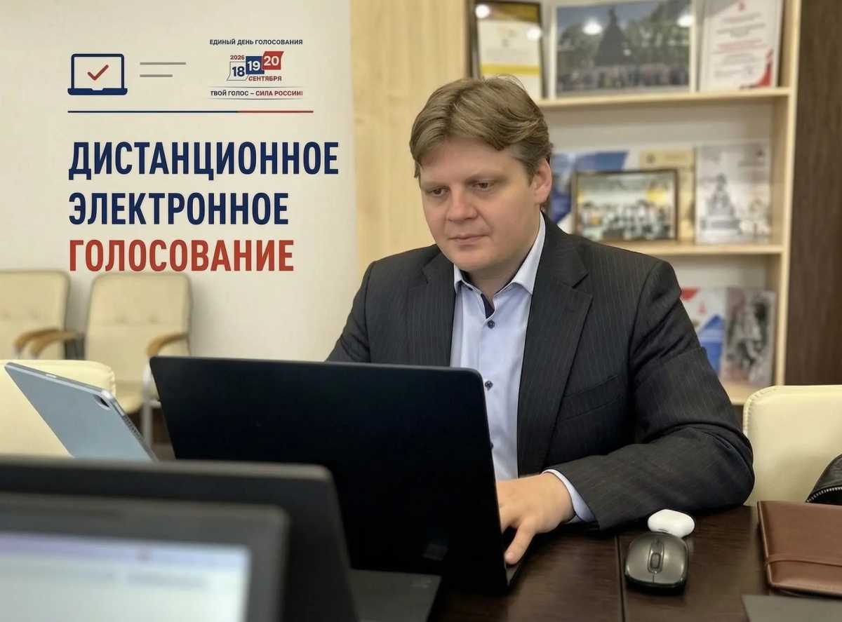 Новгородская область стала лидером по явке на дистанционном электронном голосовании