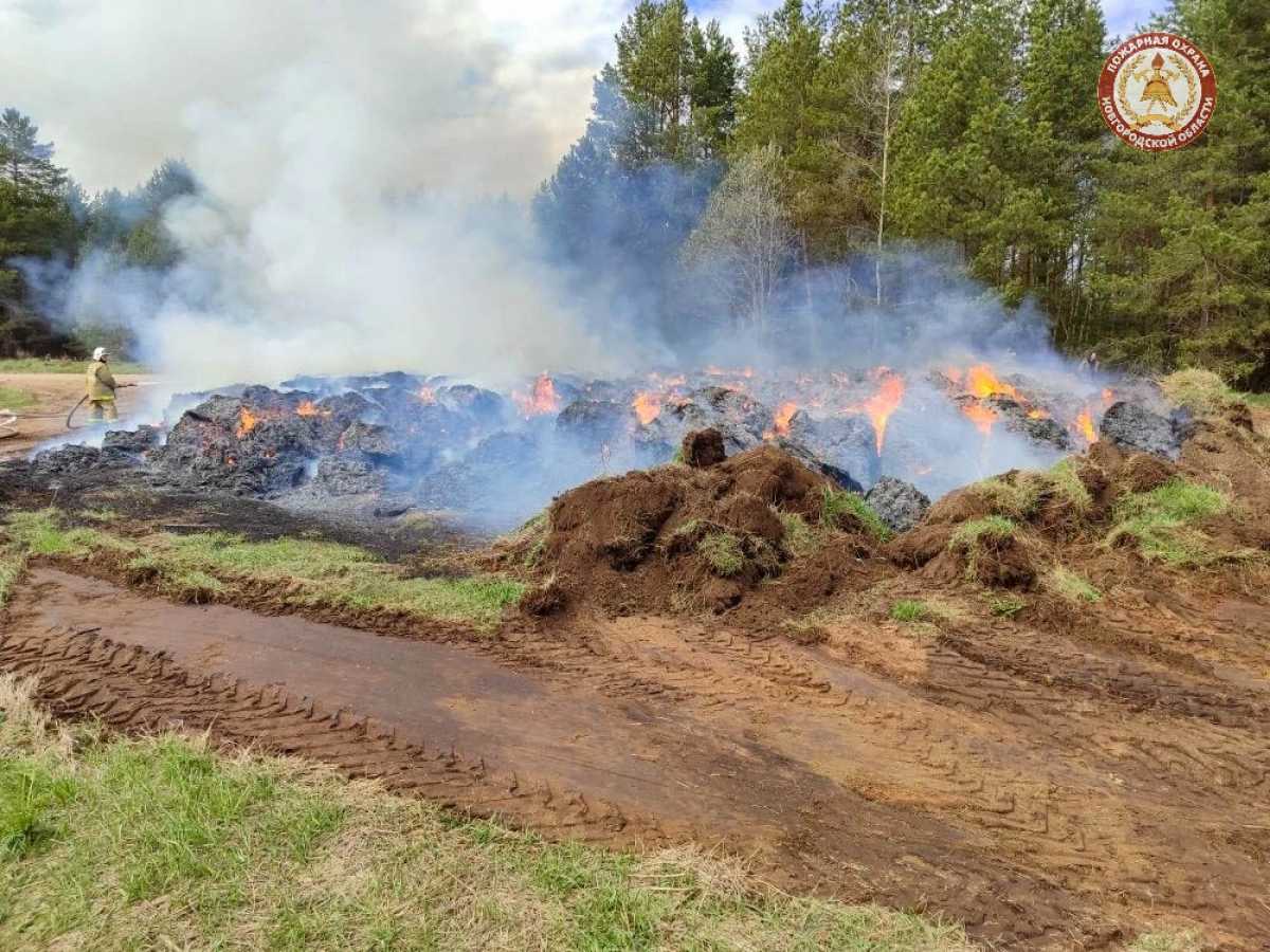 В происшествиях никто не пострадал. В происшествиях никто не пострадал.