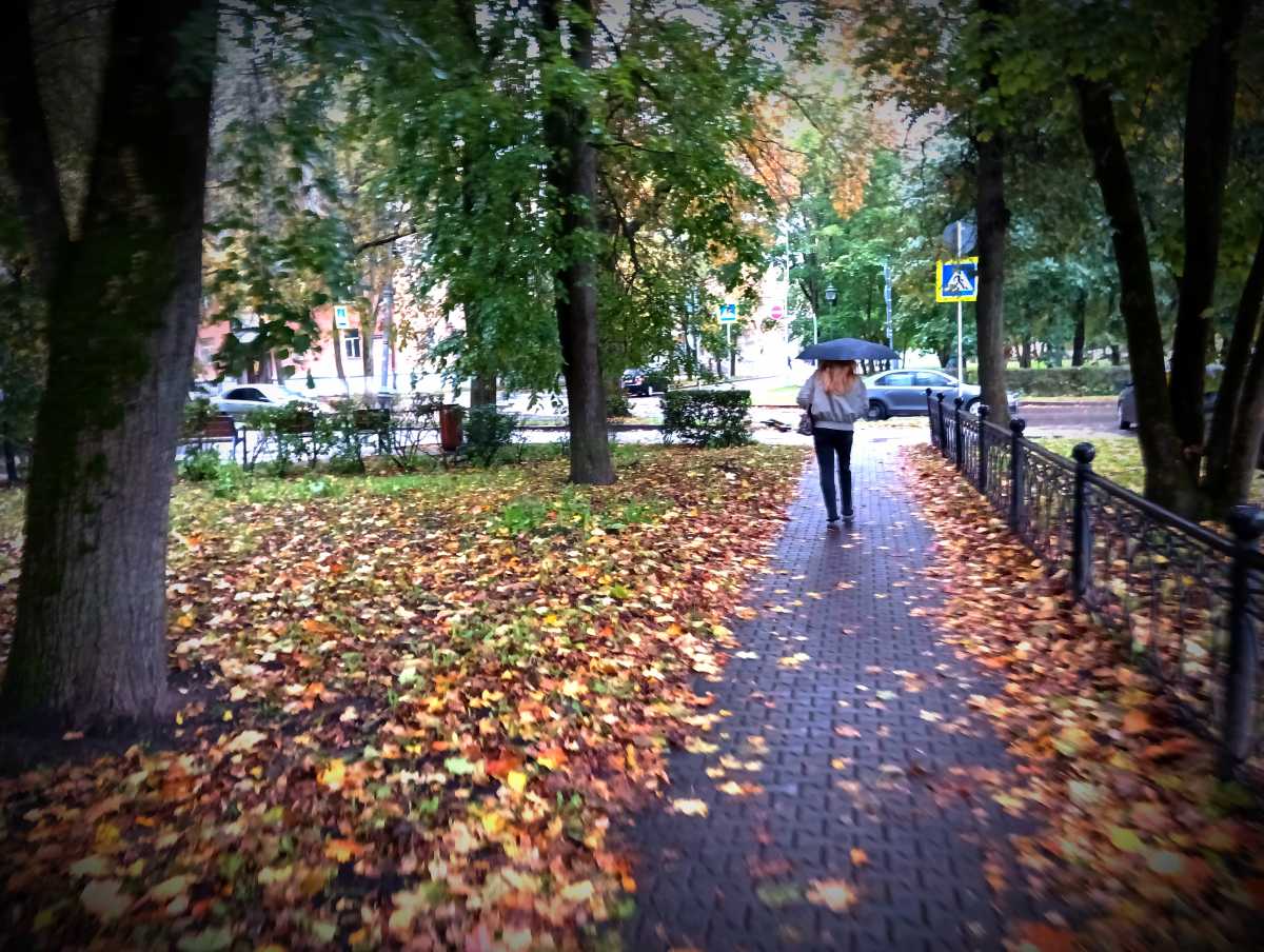 С выходных в Новгородской области идут дожди.