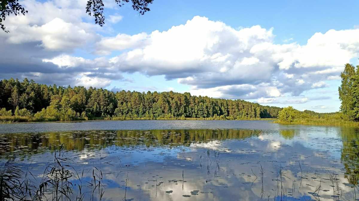 Перед походом в лес нужно сообщить родным или знакомым о планируемом маршруте.