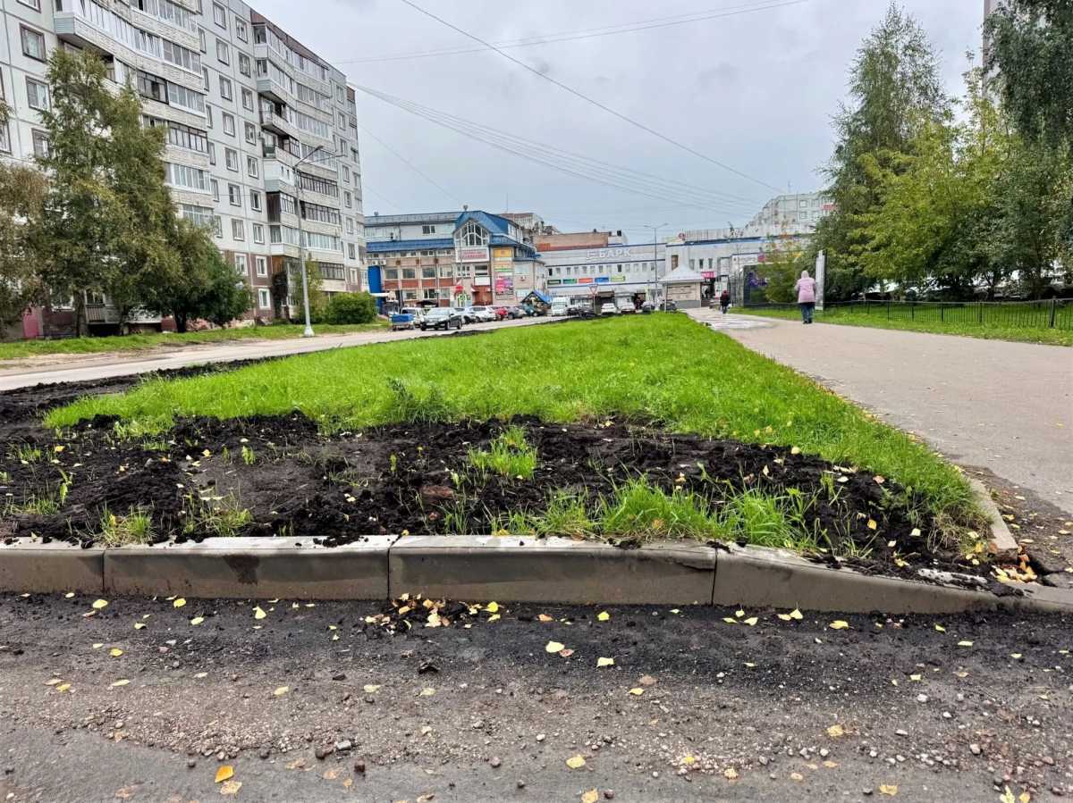 За благоустройство территории на улице Свободы проголосовала почти 1 тысяча жителей Западного района города. За благоустройство территории на улице Свободы проголосовала почти 1 тысяча жителей Западного района города.