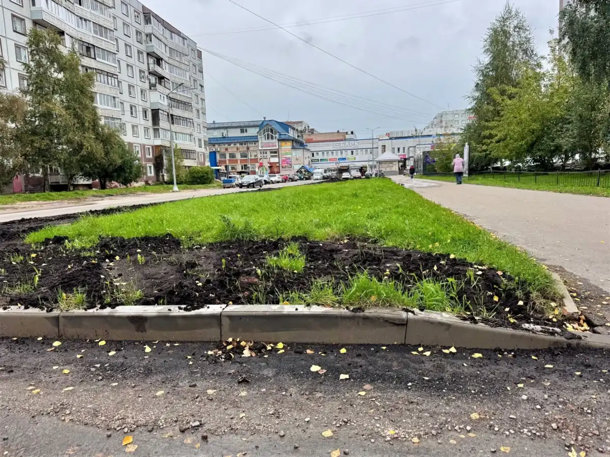 За благоустройство территории на улице Свободы проголосовала почти 1 тысяча жителей Западного района города.