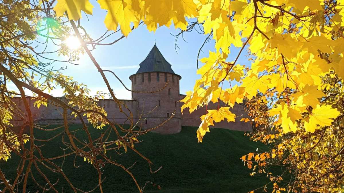 Забег состоится в Кремлёвском парке Великого Новгорода.