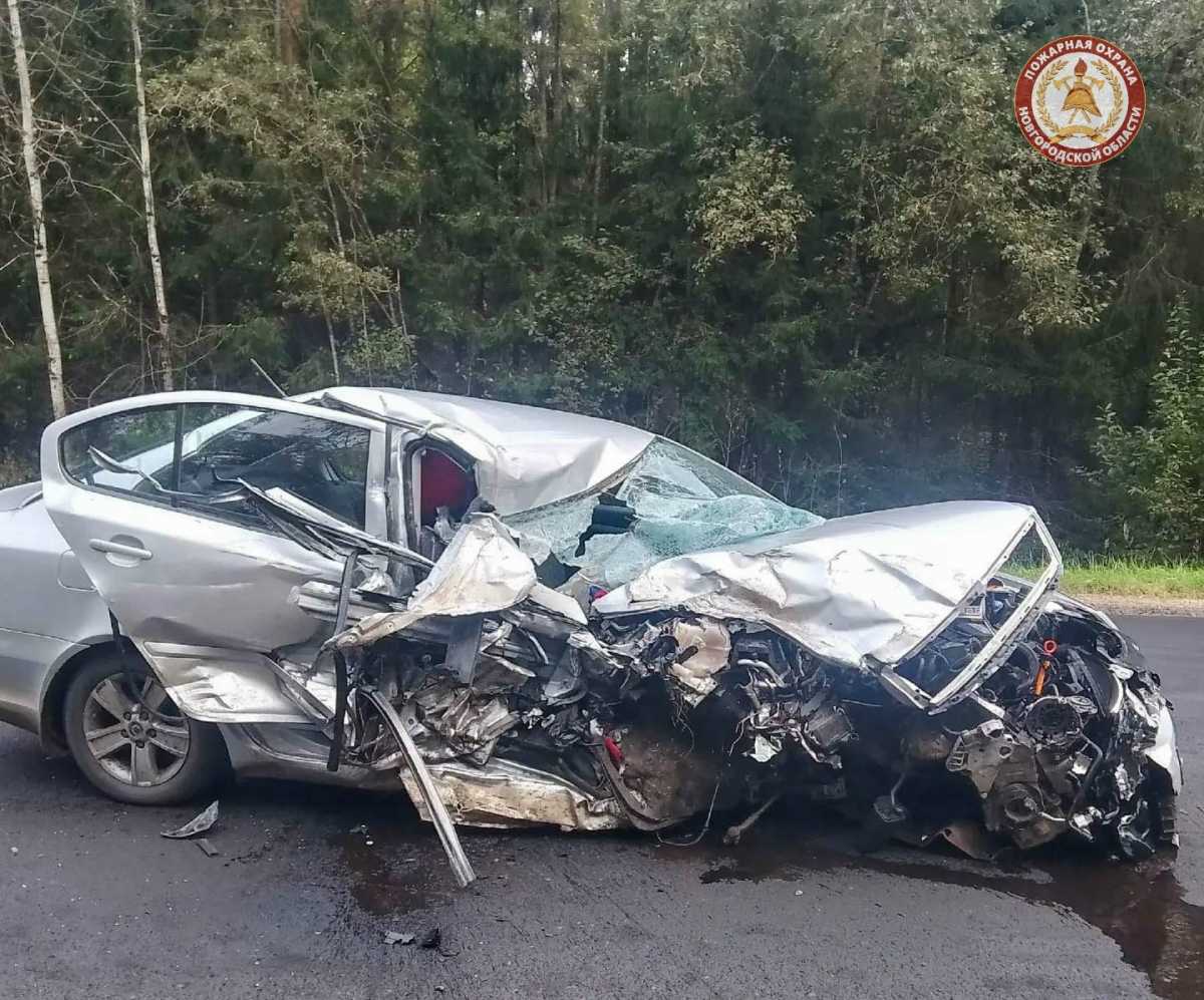 Пострадавших доставили в Боровичскую ЦРБ. Пострадавших доставили в Боровичскую ЦРБ.