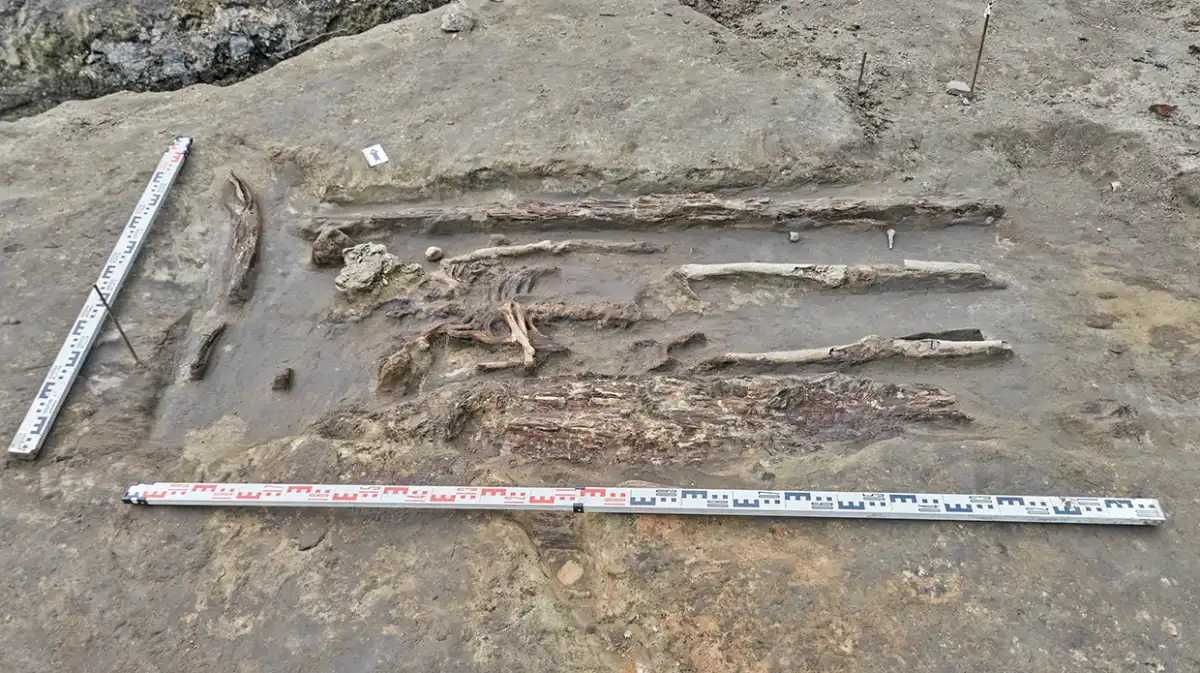 В древнем некрополе в Старой Руссе нашли 14 могил.