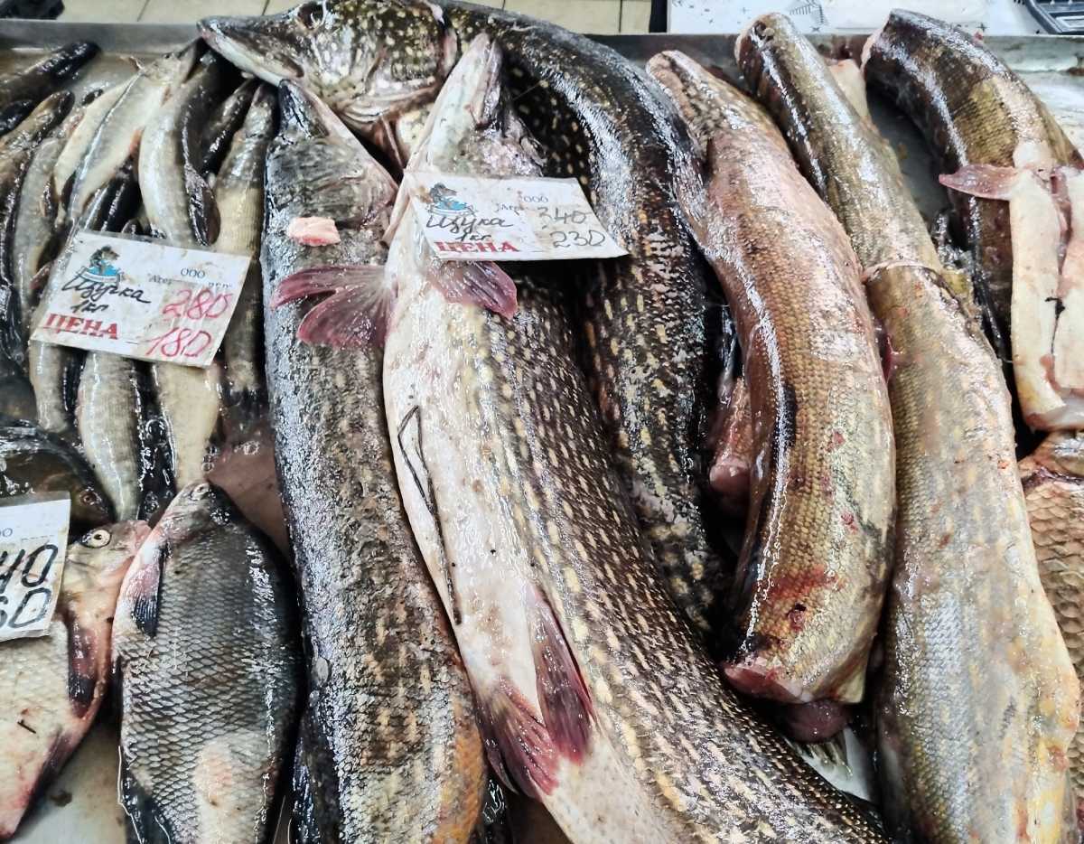 Цель акции «Доступная рыба» – сделать рыбную продукцию доступной для жителей региона. Цель акции «Доступная рыба» – сделать рыбную продукцию доступной для жителей региона.