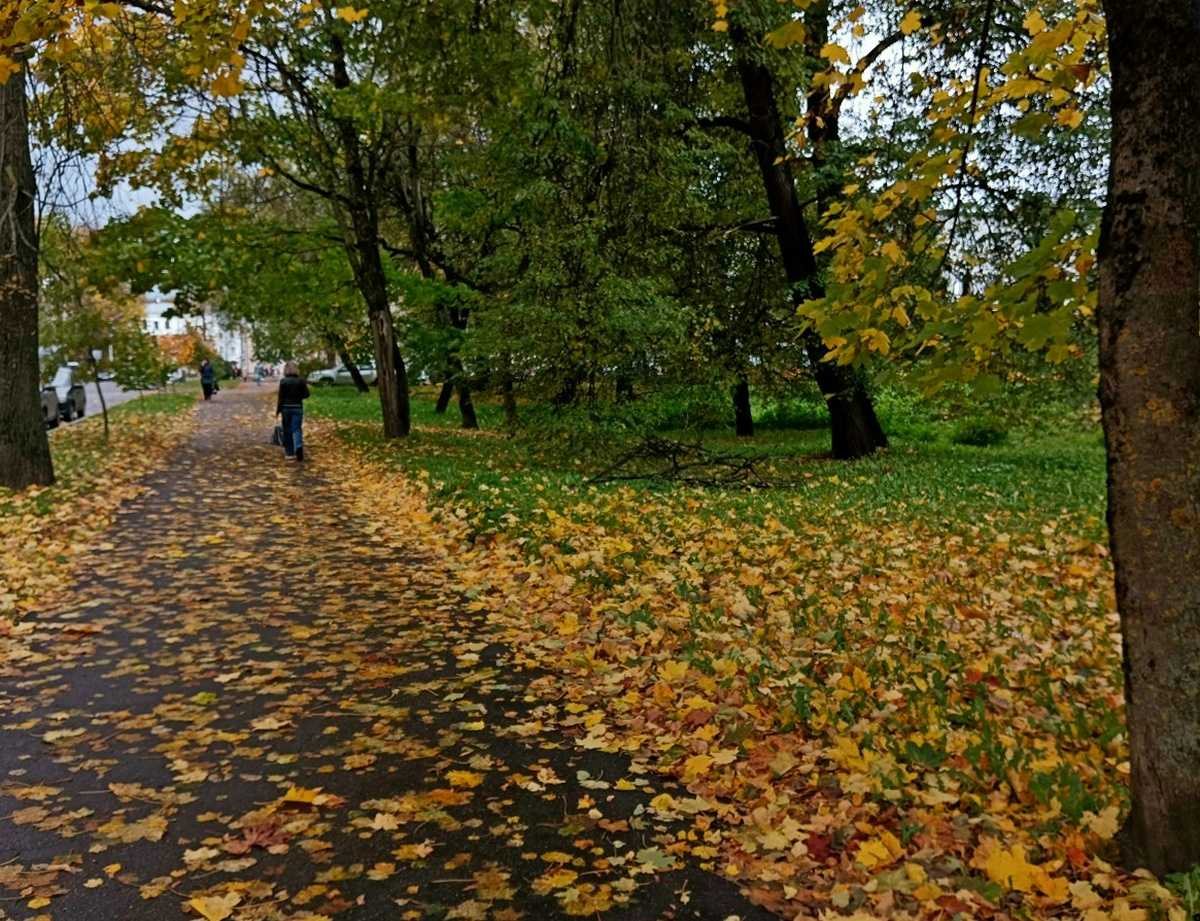 В Великом Новгороде пройдут небольшие дожди.