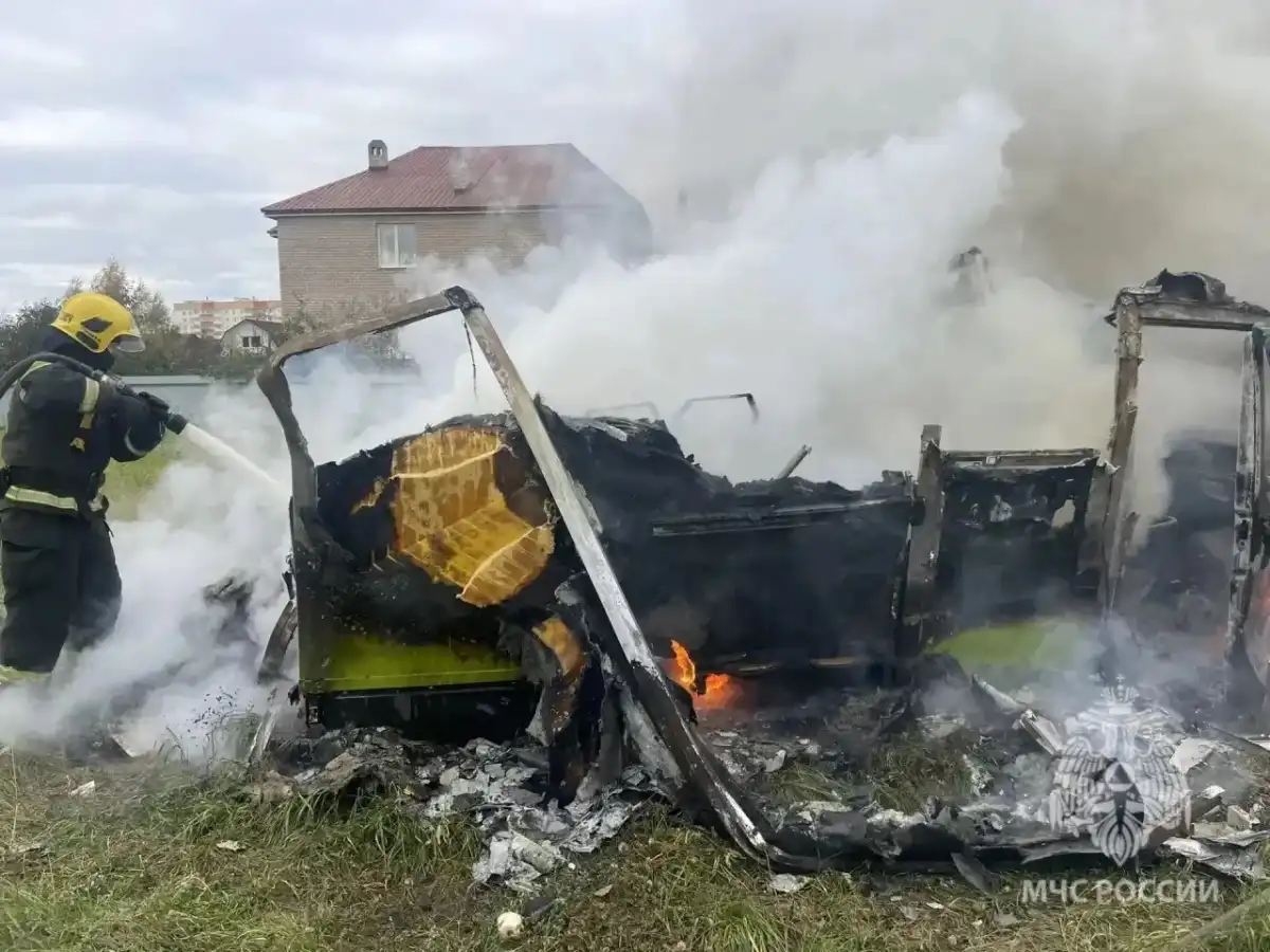 Огонь уничтожил сгораемые детали автомобиля в деревне Григорово Новгородского округа.