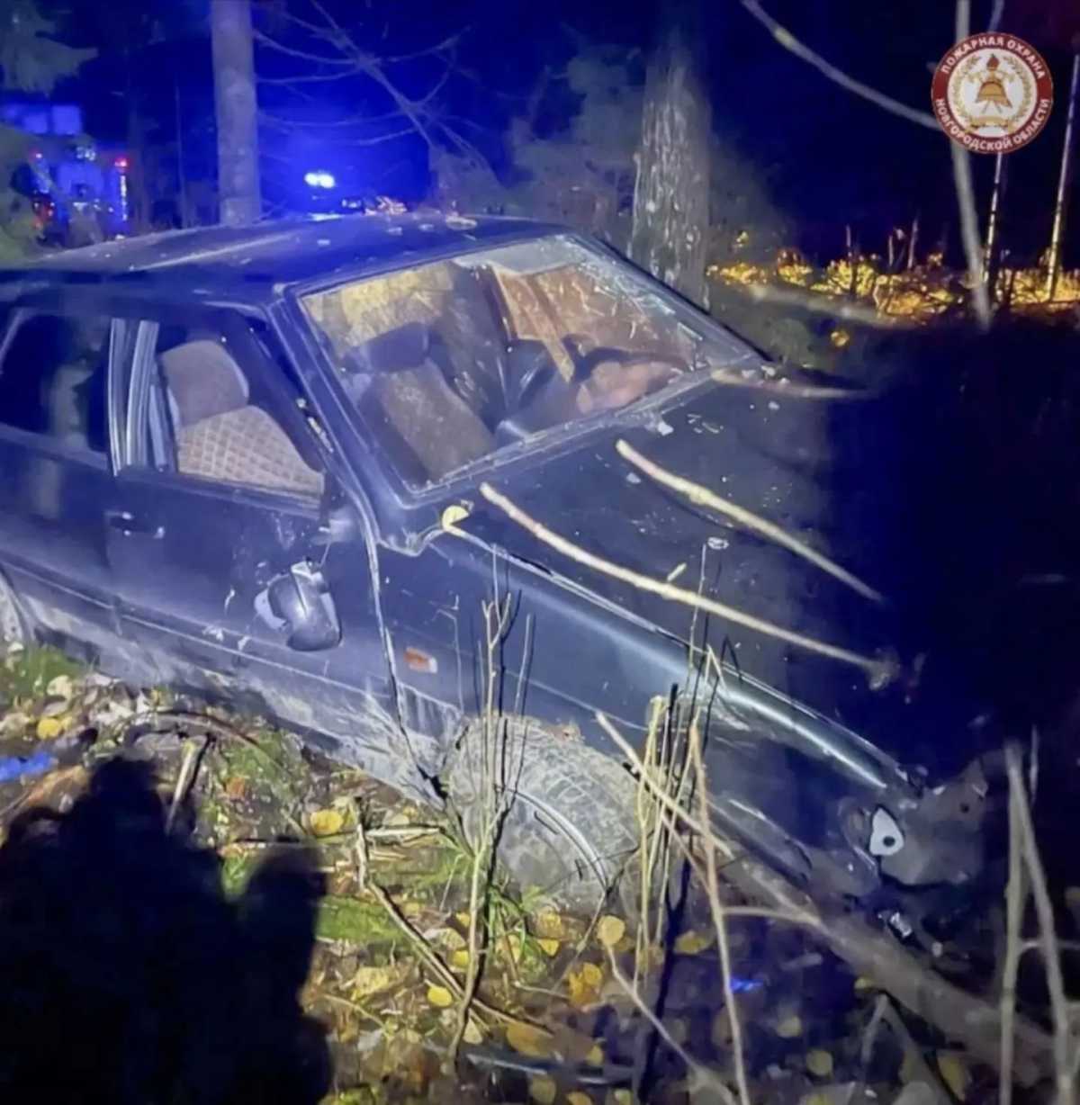 Пострадавшую госпитализировали в Боровичскую ЦРБ. Пострадавшую госпитализировали в Боровичскую ЦРБ.