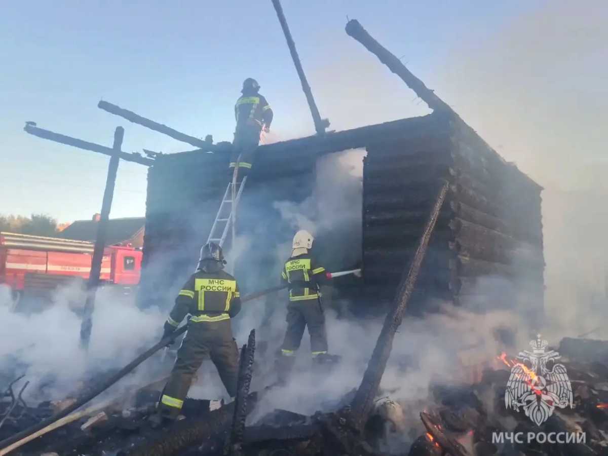 В Крестецком округе сгорел дом В Крестецком округе сгорел дом