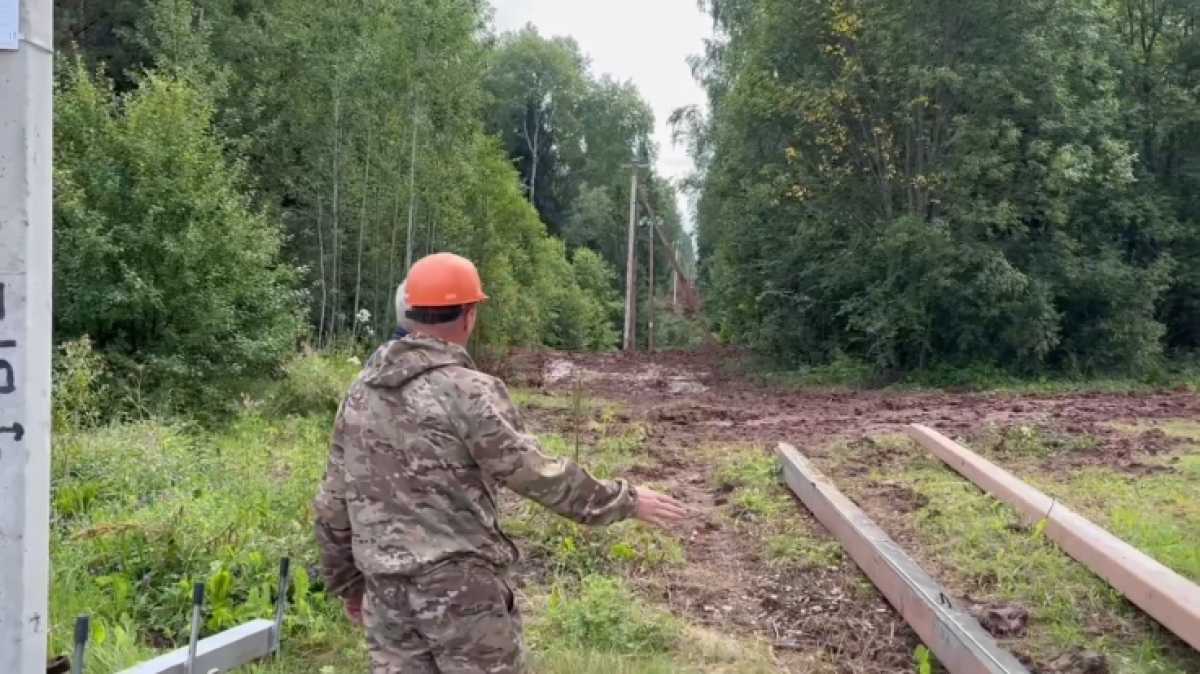 Энергетики расчистят от растительности 4 413 га земли.