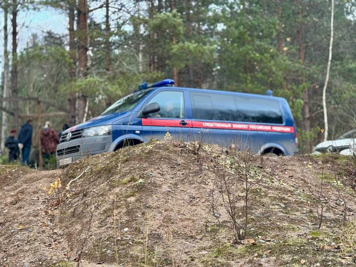 Женщина попала в голову потерпевшего. Женщина попала в голову потерпевшего.