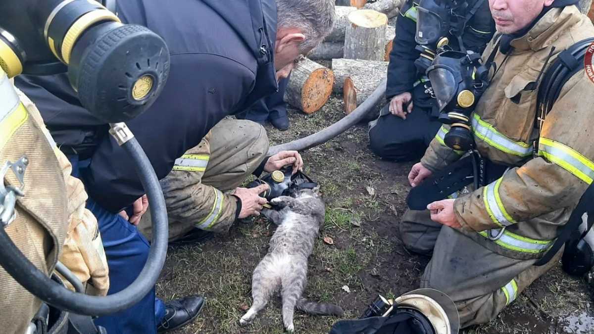 Огнём повреждено имущество и внутренняя отделка по всей площади дома, спасены две хозпостройки.