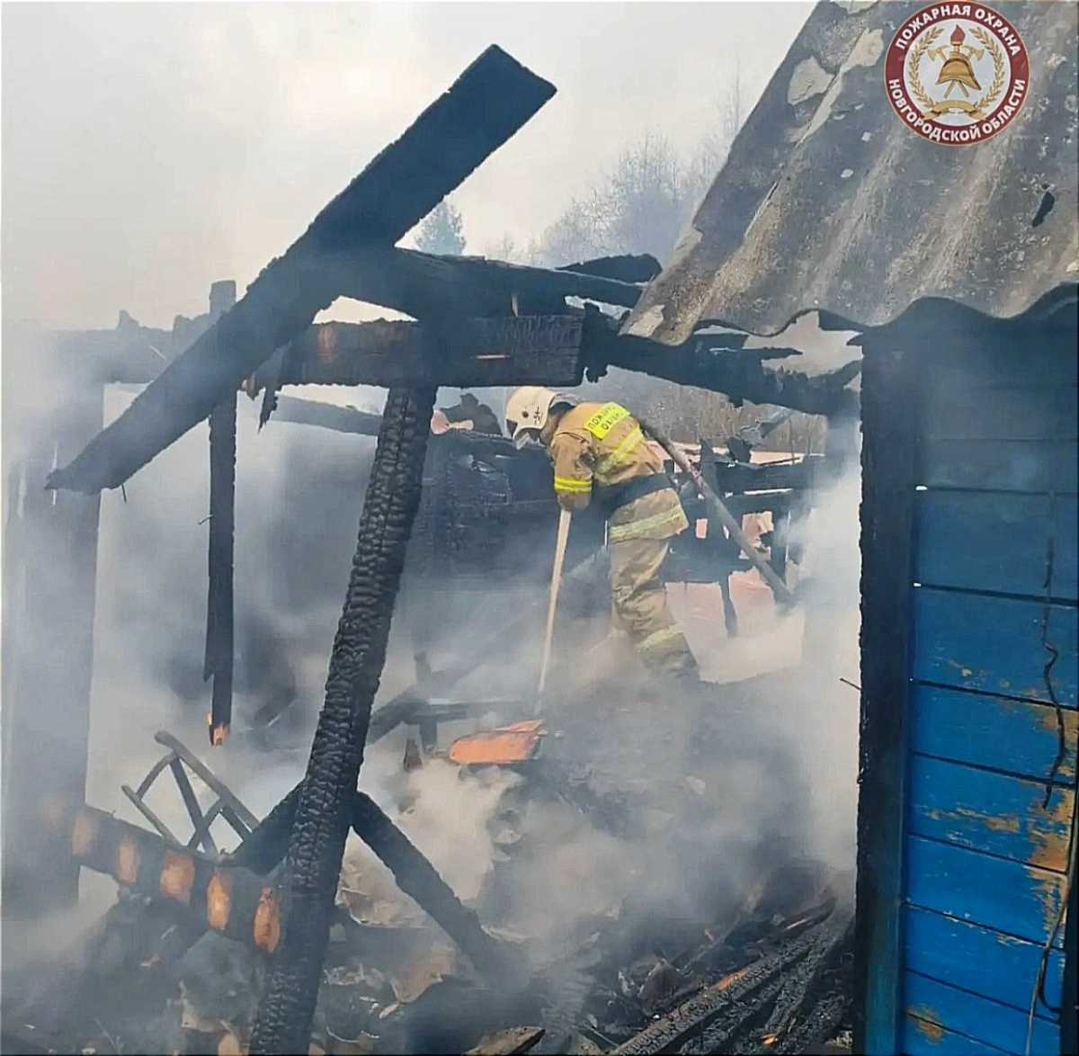 Пожар полностью потушили, пострадавших нет, вся домашняя птица осталась цела.