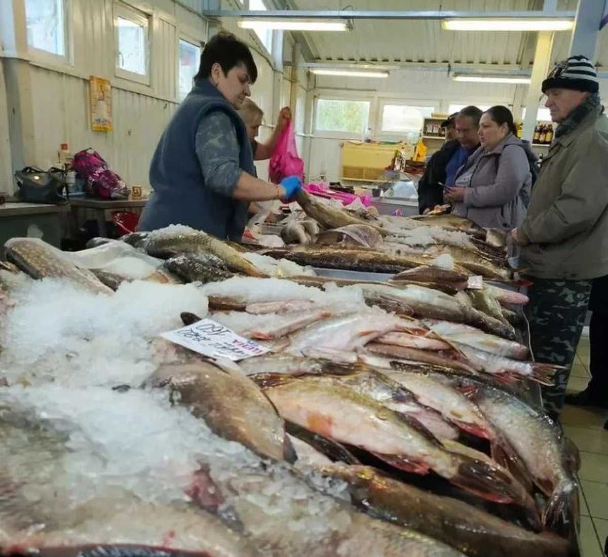 Акция «Доступная рыба» дает жителям возможность приобретать продукцию напрямую от промысловиков.