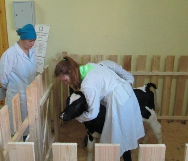 Новгородский агротехникум выпустил более 30 тыс. специалистов для АПК