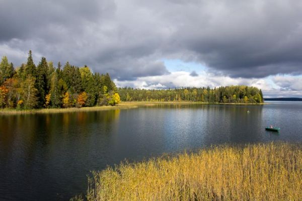 «Новгороднефтепродукт» сбрасывал ливневые воды в ручей, впадающий в озеро Валдайское.