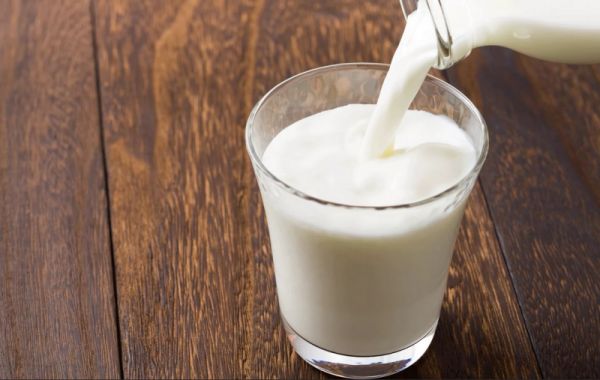 Сегодня СПК «Левочский» перерабатывает только половину полученного молока.
