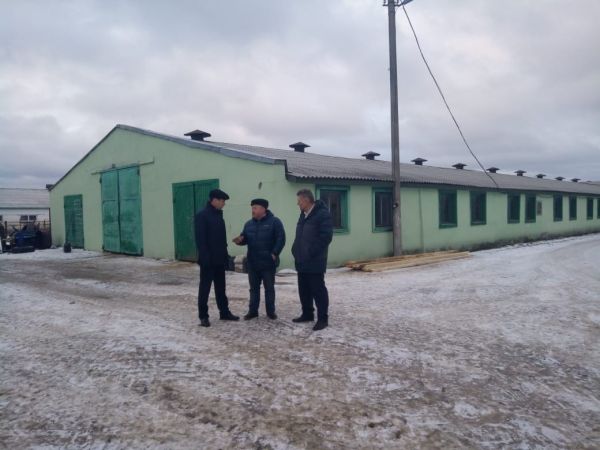 ОАО «Ермолинское является одним из наиболее успешных предприятий Новгородской области в молочном животноводстве.