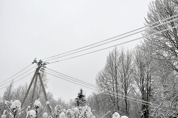 Более 700 жителей Окуловского, Крестецкого и Маловишерского районов ждут восстановления энергоснабжения