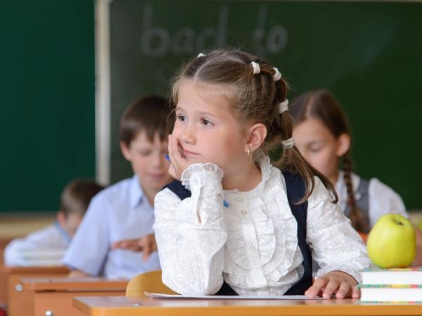 В Великом Новгороде школы и гимназии приняли документы на зачисление детей в первые классы от 1645 человек.