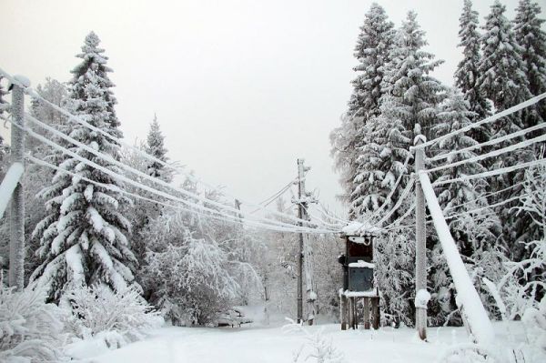 В Новгородской области после снежного циклона остались без электричества более 160 населенных пунктов