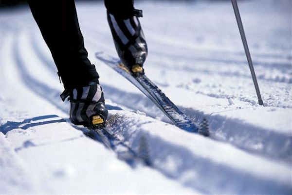 Ожидается, что в Валдайском марафоне примут участие 500 лыжников.