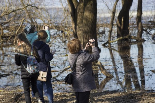 В первой новгородской фотоохоте поучаствовали 13 человек