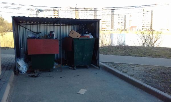 Устаревший тип контейнеров приводит к замусориванию парка