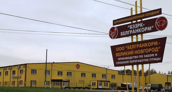 «Белгранкорм – Великий Новгород» заплатит миллионный штраф за взятку главе областного Роспотребнадзора