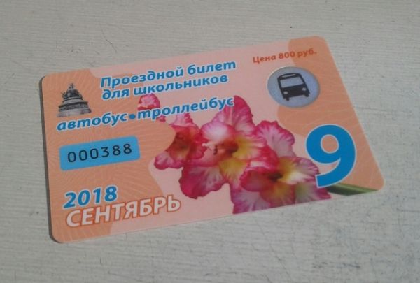 Мэр Великого Новгорода предложил перевозчикам организовать бесплатный проезд для школьников в автобусах