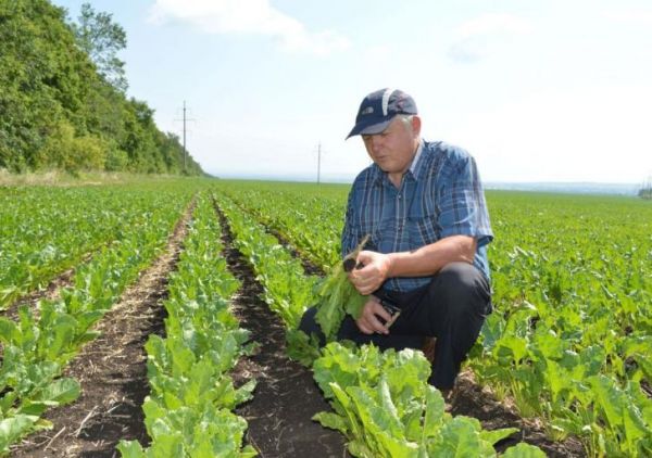 Новгородский фермер Иван Пиреев выступает за возращение налоговых льгот для сельхозпроизводителей области