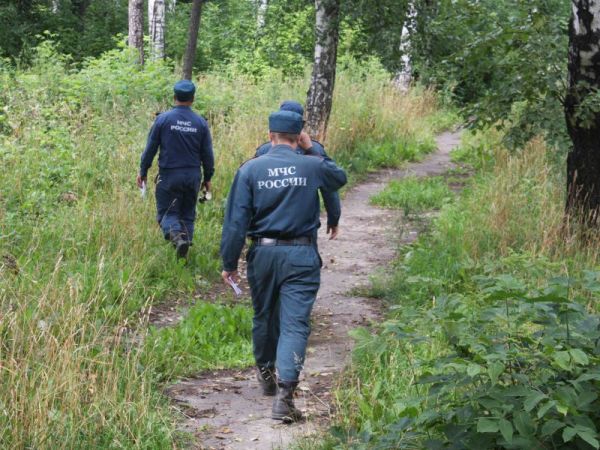 В поисках женщины участвуют сотрудники МЧС, полиции и жители деревни Кневицы.