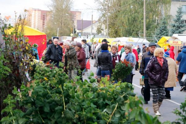 21 сентября на Центральном рынке в Великом Новгороде пройдет традиционная областная агропромышленная ярмарка «Урожай-2019».