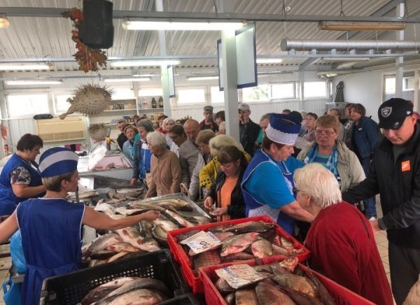 Первая акция прошла в павильоне на Центральном рынке, и оказалась востребованной горожанами: было реализовано более тонны свежей рыбы.