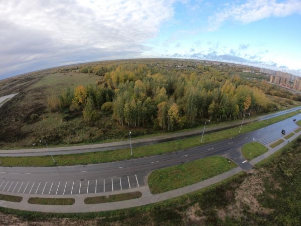 Существующая на краю Псковского микрорайона роща не нуждается в озеленении, вложений в её благоустройство будет значительно меньше,  чем в строительство парка с нуля