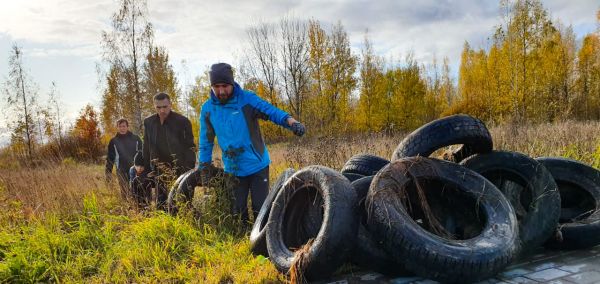 Инициатива по сохранению зеленой зоны в Псковском районе всего за четыре дня набрала на «Вечевом колоколе» необходимые 1000 голосов