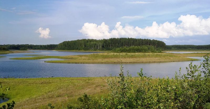 Разработчиком проекта по созданию экотропы стал хвойнинский туристско-информационный центр «Южная тайга».
