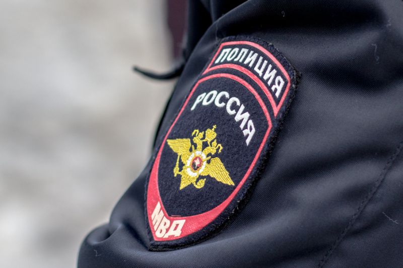 В полицию Батецкого района обратилась жительница деревни Мелковичи, сообщившая ее 82-летний отец ушел в лес за ёлкой и не вернулся.