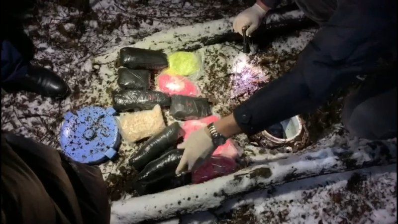 Из пластиковой ёмкости, скрытой драгдилером под землёй, стражи порядка изъяли около 9 кг синтетических наркотиков