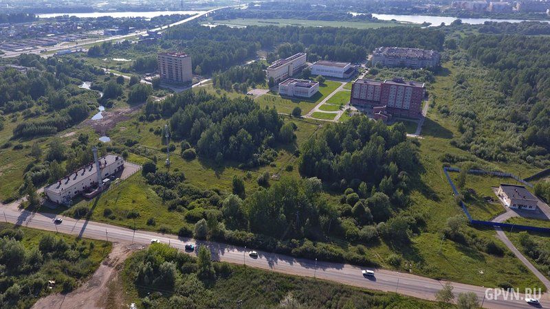 Кампус НовГУ в Деревяницком районе Великого Новгорода рядом с рощей.