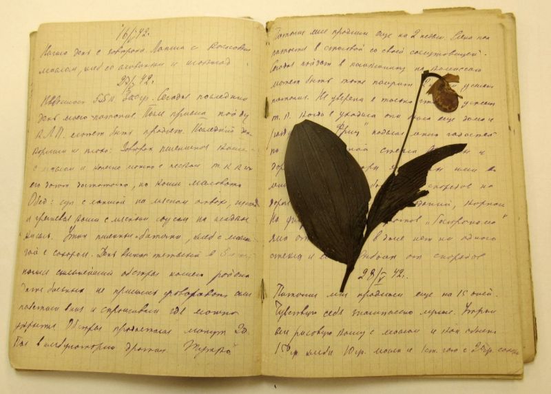 Засушенный цветок в блокадном дневнике, как память о весне 1942 г.
