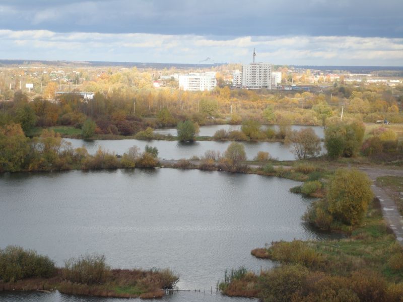 Актив «Чистых прудов» - это сообщество неравнодушных горожан, стремящихся сохранить единственный зеленый уголок в Северном микрорайоне Великого Новгорода.