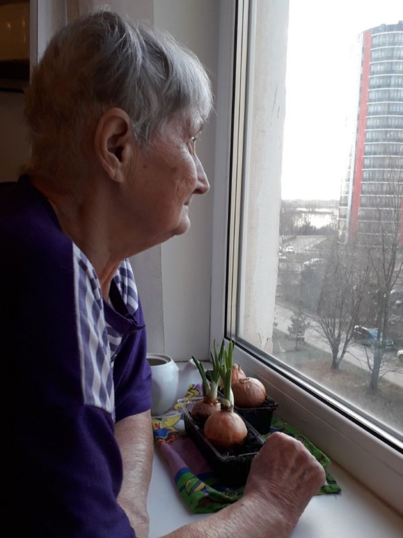 Среди участников акции – 84-летняя пенсионерка Лидия Николаевна, которая выращивает в квартире саженцы яблонь, груш, мандарин, авокадо.